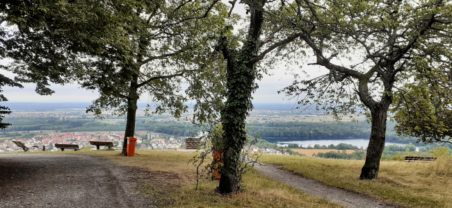 Blick vom Michaelsberg in die Rheinebene, links unten Bruchsal-Untergrombach.  Klicken Sie auf das Bild um es zu vergrößern. (c) Dieter Müller