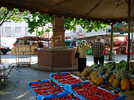 Markttag in Bruchsal am 14. Mai 2008. Klicken Sie, um das Bild zu vergrern.