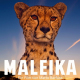 Maleika - klicken Sie zu weiteren Details! Maleika - klicken Sie zu weiteren Details!